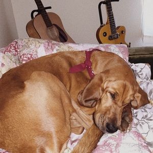 Meet your Posher, Claire